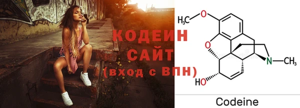 стаф Гусев