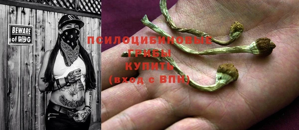 не бодяженный Абаза