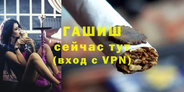 стаф Гусев
