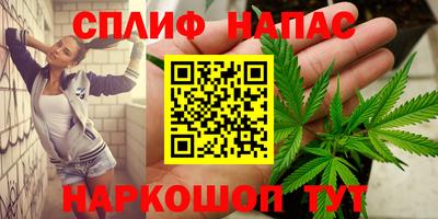 СК Абакан