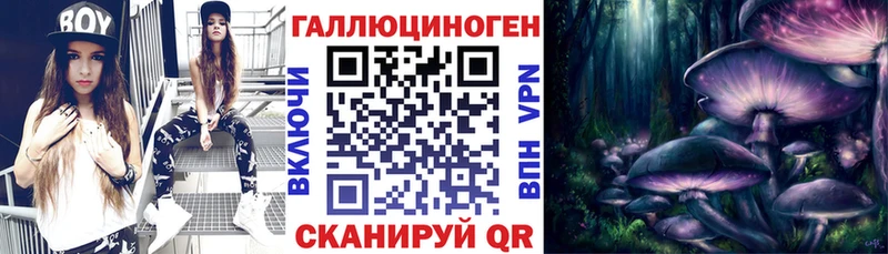 купить закладку Азнакаево Псилоцибиновые грибы Cubensis