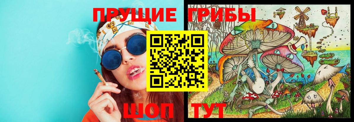 Азнакаево  Псилоцибиновые грибы MAGIC MUSHROOMS  Вход с VPN 