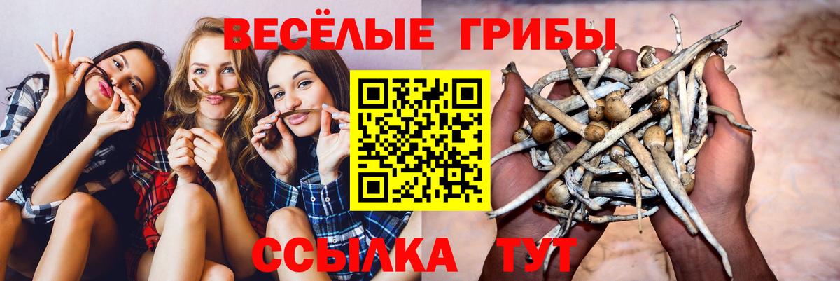 Псилоцибиновые грибы ЛСД Азнакаево